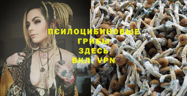 трава Балабаново