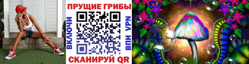 Галлюциногенные грибы Psilocybine cubensis  где купить наркотик  Белёв 